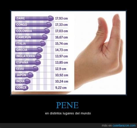 penes de 13 cm|Mi pene mide 13 cm es lo normal